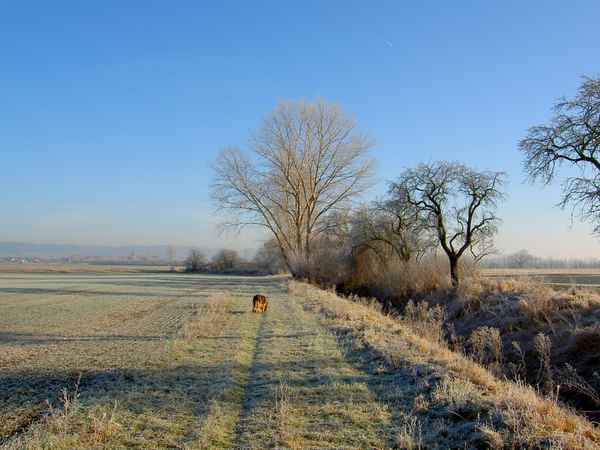 Winterlandschaft 1