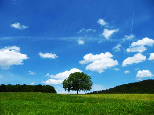 Mittelpunkt Natur