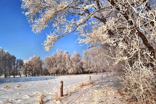 winterspaziergang