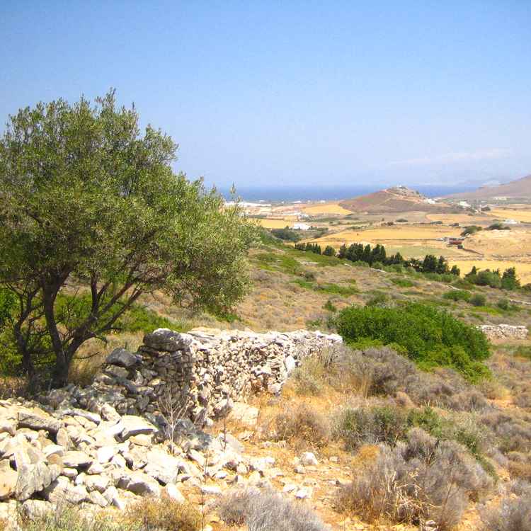 Byzantinischer Weg Richtung Meer