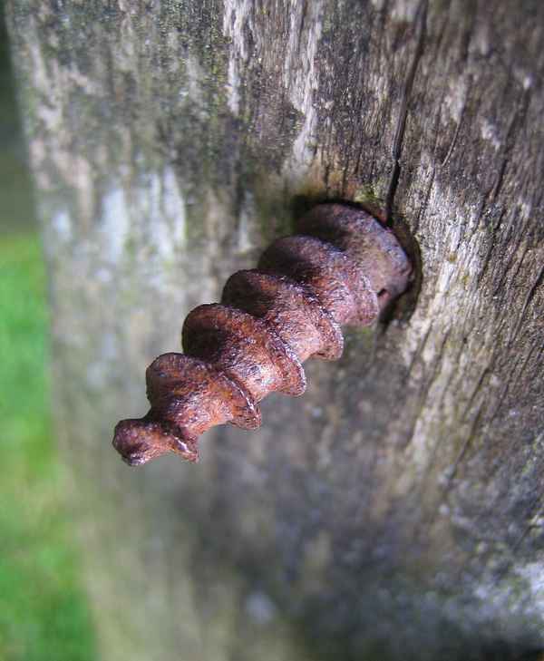 Rostige Schraube 2