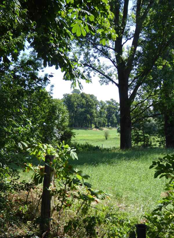 Blick in die Landschaft bei Kaiserswerth