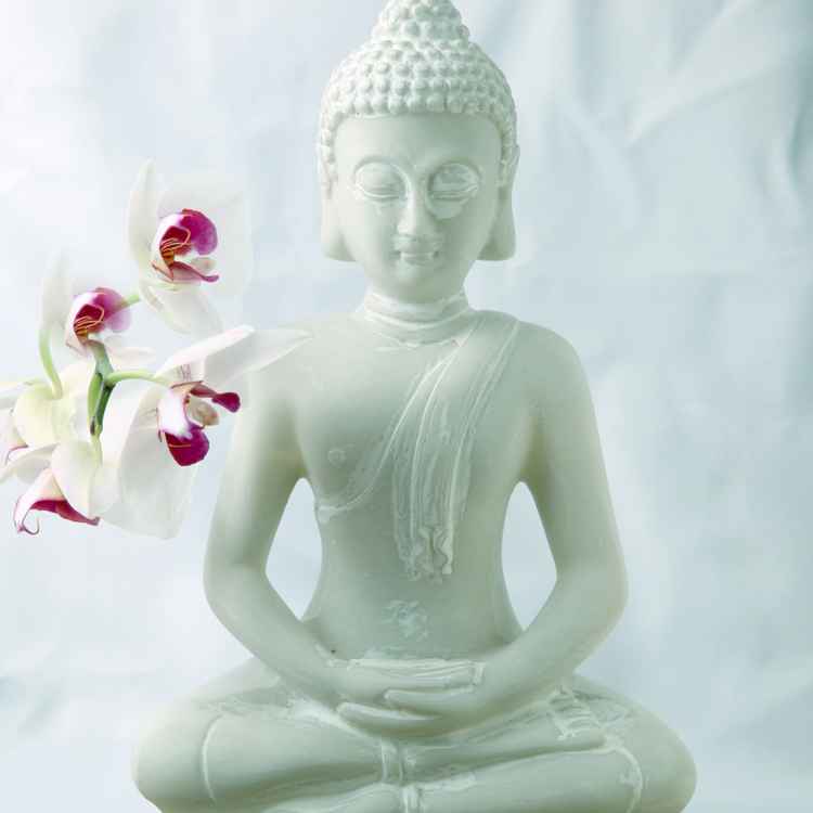 buddha mit Orchidee