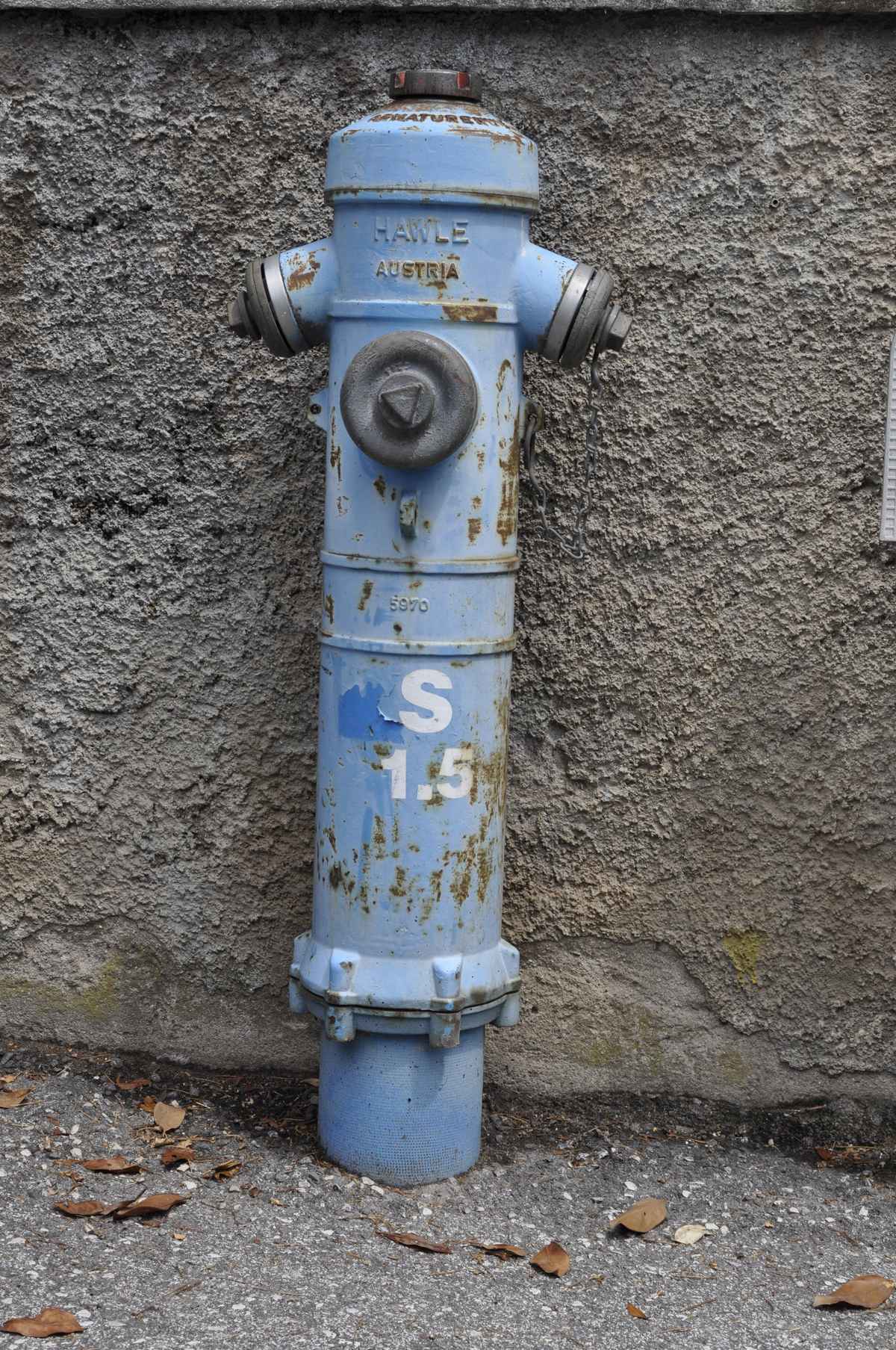 Blauer Hydrant
