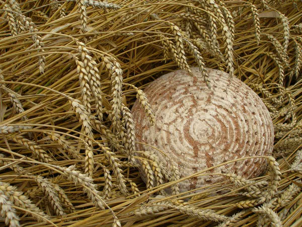 Brot und Korn