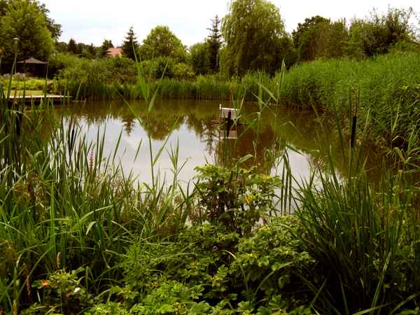 Kleiner Teich