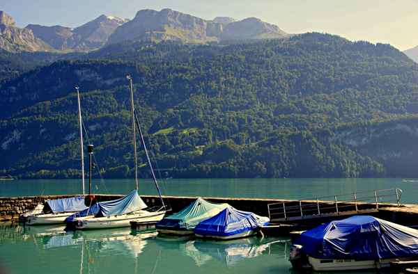 Am Brienzersee