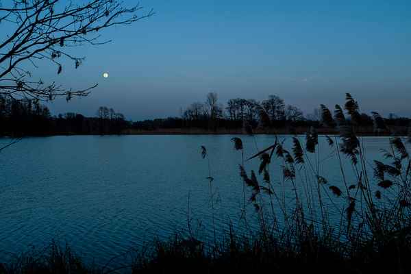 Nacht am Weiher
