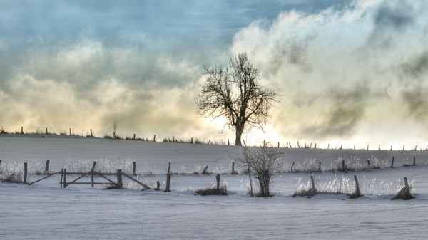 Winter im Eggegebirge I
