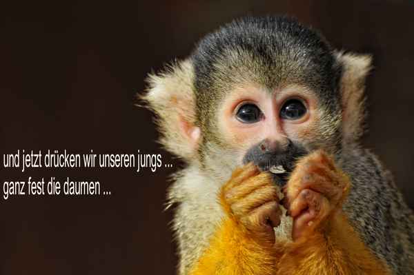 und jetzt drücken wir unseren jungs ...