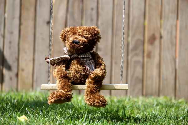 Serie Teddy 2