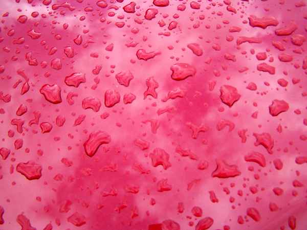 Regentropfen auf Motorhaube