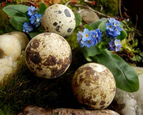 Klein Ostern