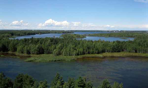 Insel im See