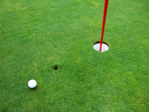 Nearest to the pin - 46 cm