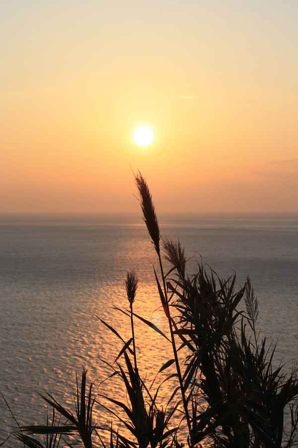 Altgoldene Lichtstraße