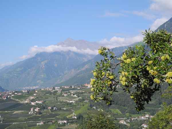 Blick auf Schenna (3)