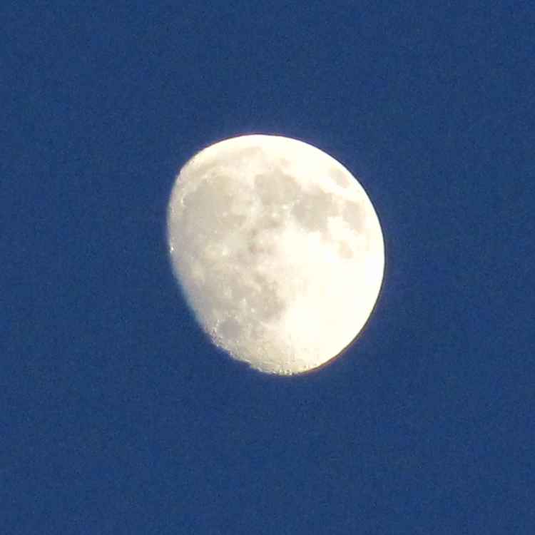 Mond