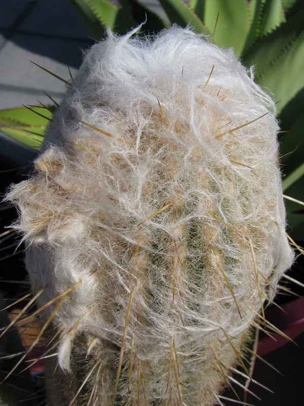 Nadeln im "Heuhaufen"