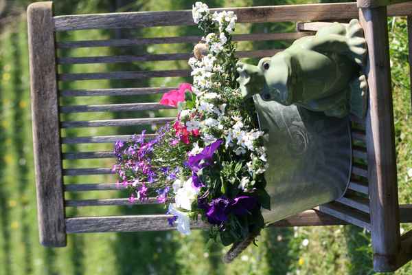 Froschkönig und schöne Blümchen