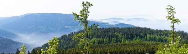 Schwarzwald-Panorama 2