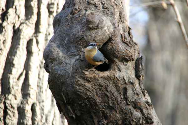 das ist meine Vorratskammer
