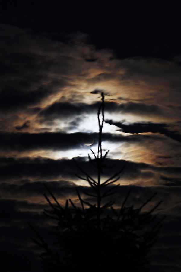 Vollmond