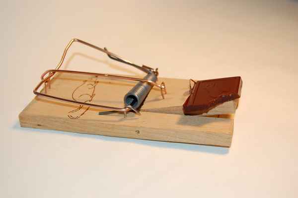 gefährliches Naschen #2