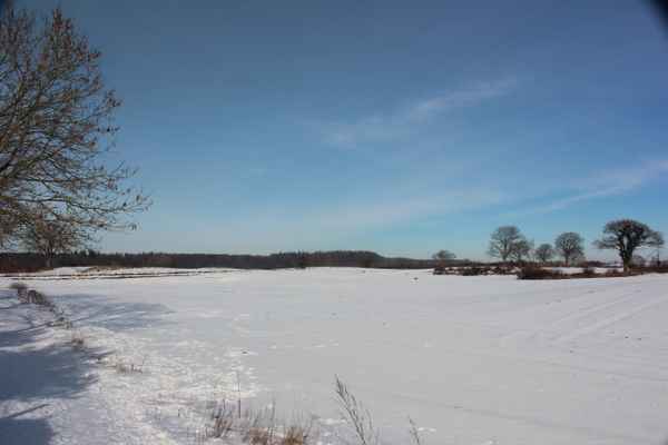 Winterwunderland