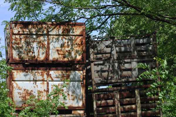 Frachtcontainer im Grünen