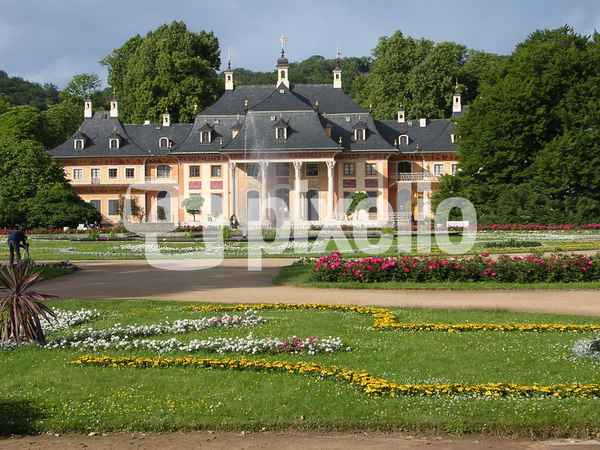 Schloß Pillnitz (am rechten  Bildrand die 1870 gepflanzte Rotbuche)