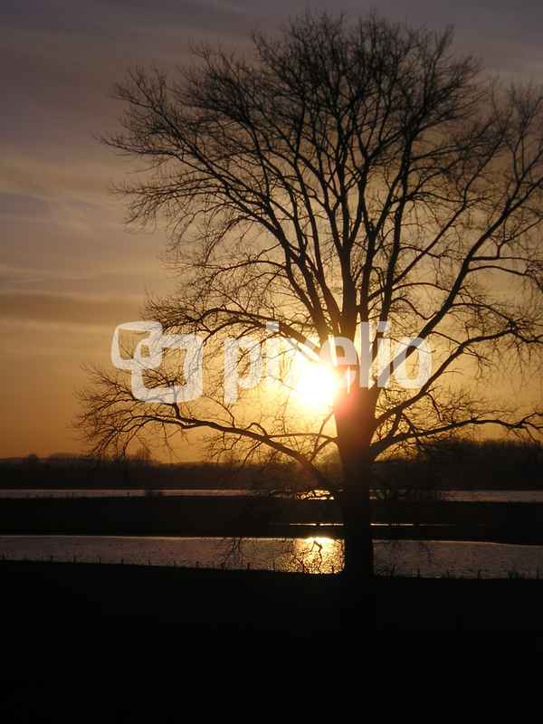 Abendidylle am Rhein2