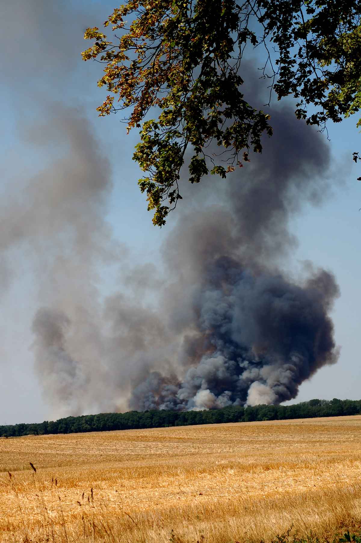 Waldbrandwarnstufe 4 = höchste Waldbrandgefahr
