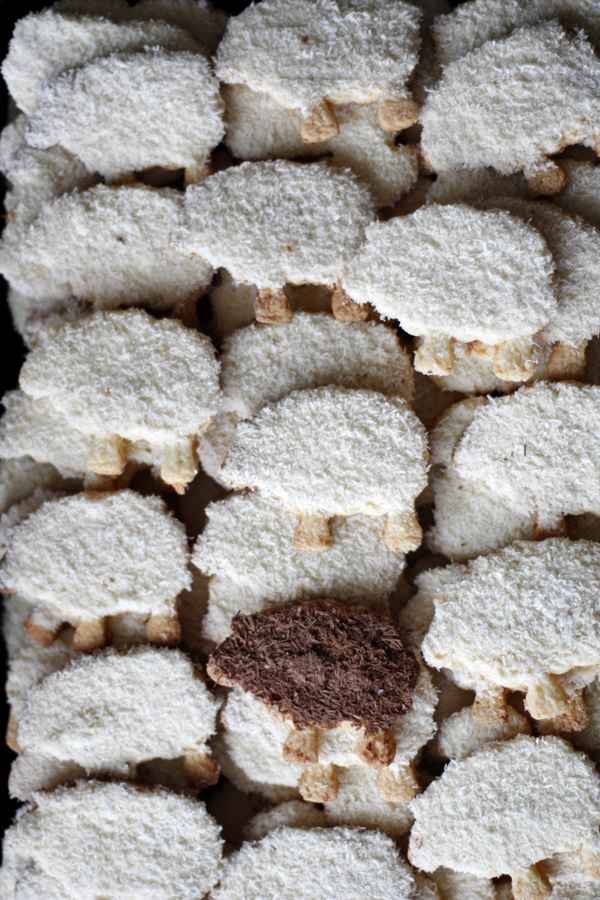 There is a black sheep in every flock