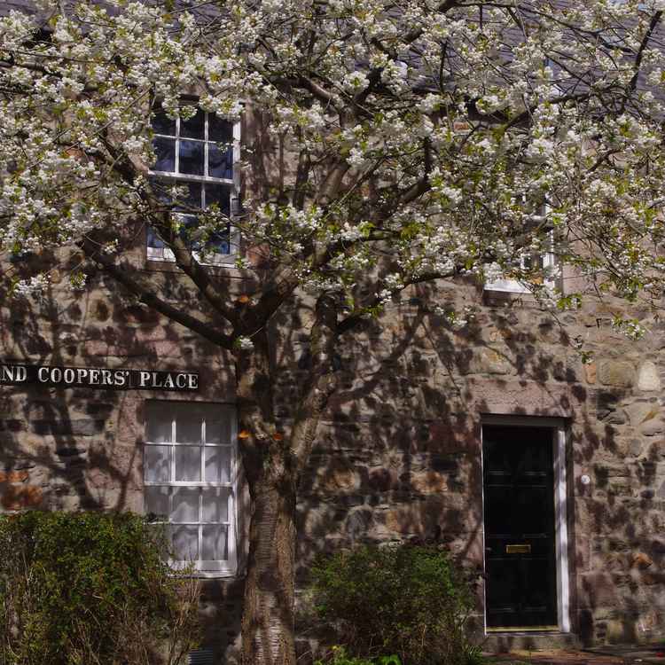 Cottage floral