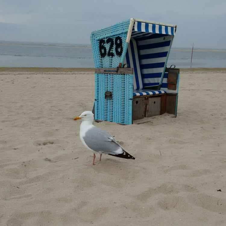 Ganz allein...