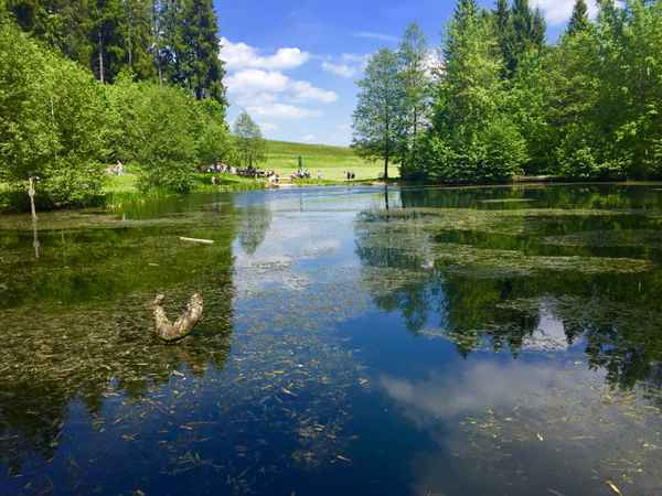 Kinzigsee bei Lossburg