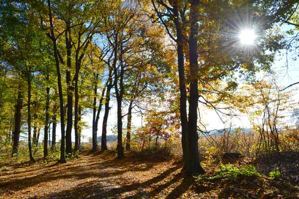 Herbstspaziergang