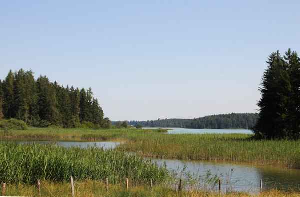 Sommer an den Osterseen 01