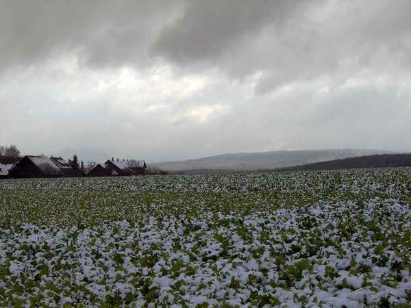 Erster Schnee