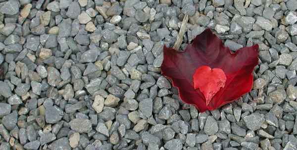 Blatt auf Blatt in rot