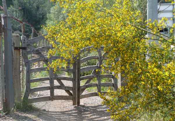 Holzgatter
