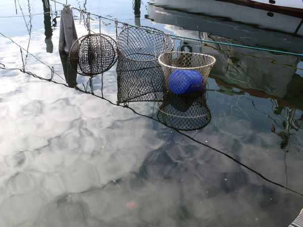 Fischerutensilien
