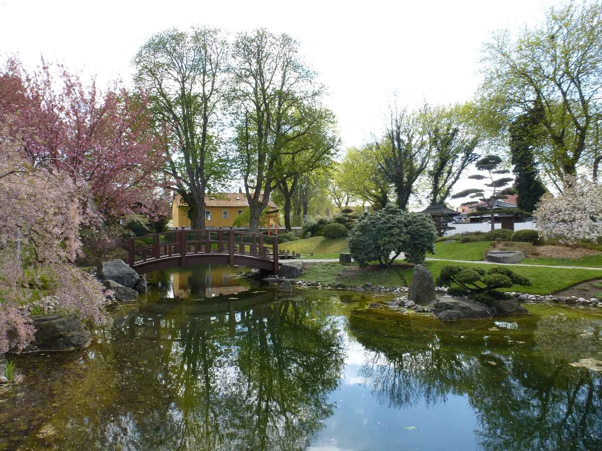 Im japanischen Garten Bad Langensalza.