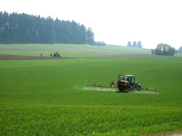 Im Märzen der Bauer