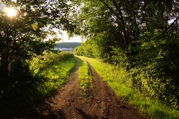 Wandern Biken Joggen 2