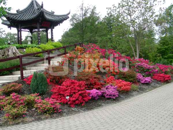 Pavilion mit Rhododendren