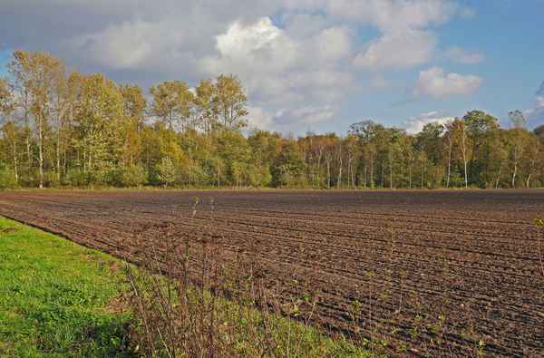 Das Feld ist bestellt, . . . .