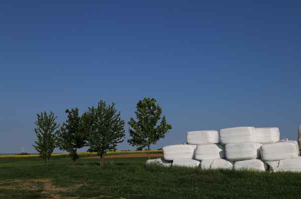 Futtervorrat gut verpackt