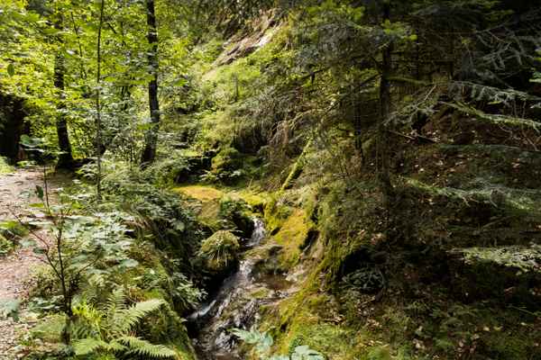 raus in die Natur